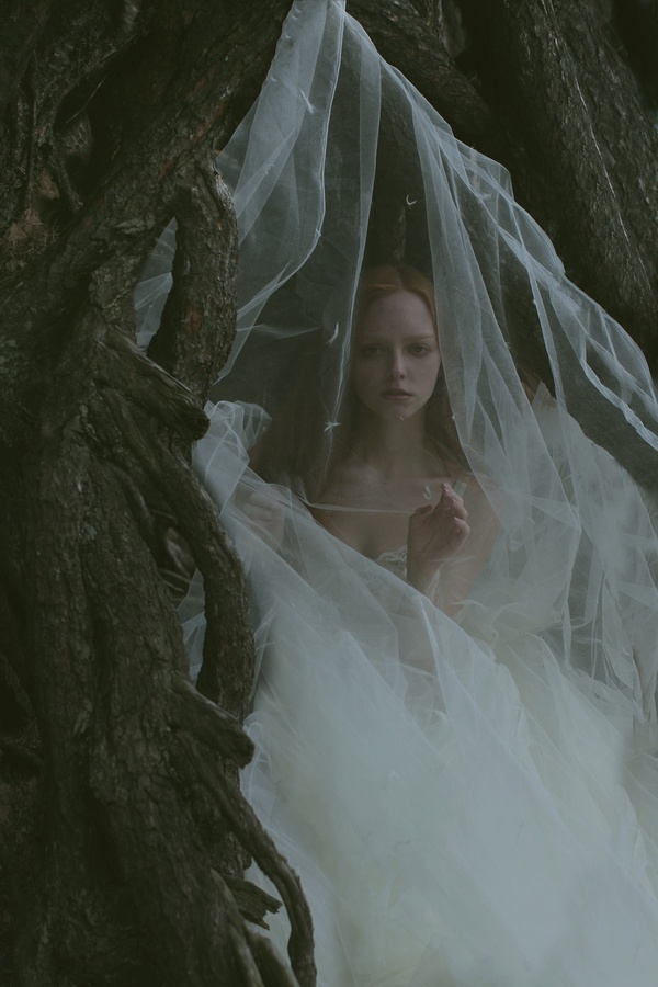 Untitled--Katerina Plotnikova