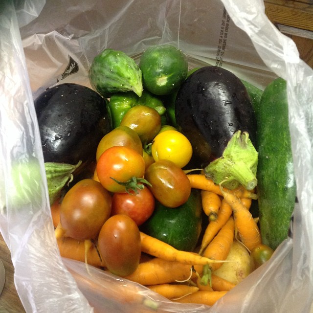 11391533_10205438273251139_1565954896084740620_n